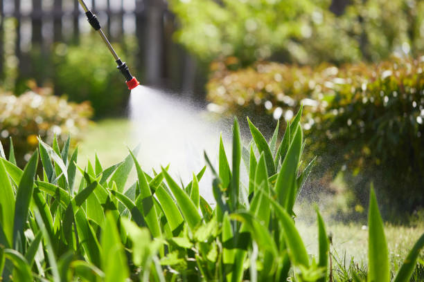 24/7 Emergency Mosquito Control experts in Ames, IA
